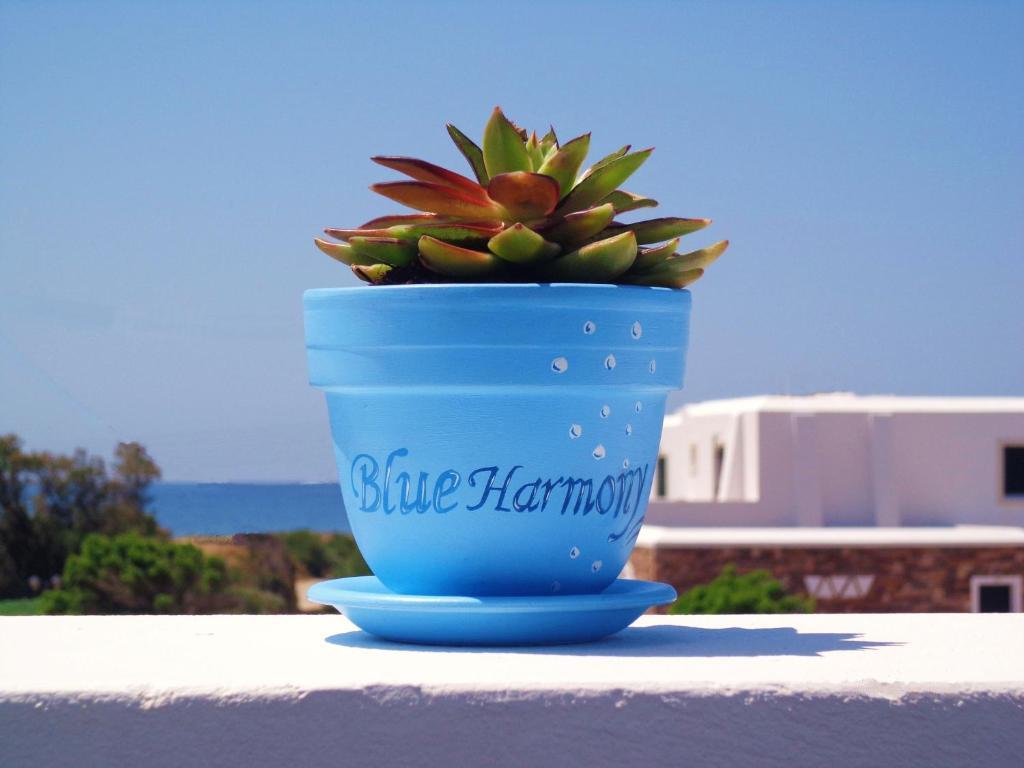 Blue Harmony Apartments Plaka  Ngoại thất bức ảnh